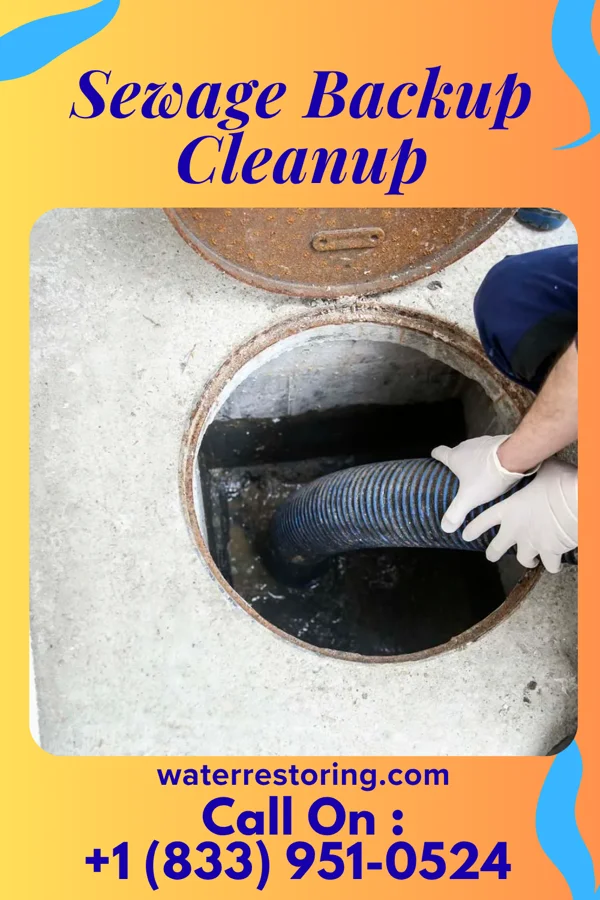 Sewage Backup Cleanup in Oxford, GA